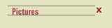 Pictures